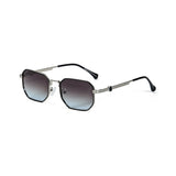 BLACK/SILVER/BLUE DC.BROWN LENS