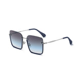 BLUE DC.GREY BROWN LENS