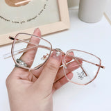 TRANSPARENT/R.GOLD